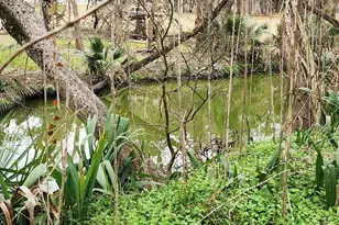 27 Cotton Bayou Cir, Cove, TX 77523 - Photo 2