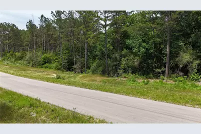 16308 Golden Wood Court, Willis, TX 77378 - Photo 4