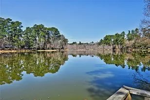 15823 Stagecoach Rd, Stagecoach, TX 77355 - Photo 44