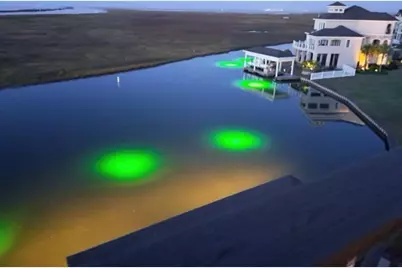 7 Little Torch, Hitchcock, TX 77563 - Photo 44