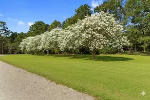 102 Forest Wind Ct, Montgomery, TX 77316 - Photo 24