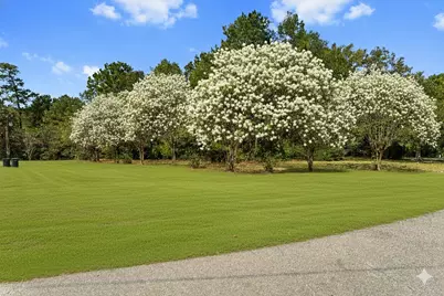 102 Forest Wind Court, Montgomery, TX 77316 - Photo 4