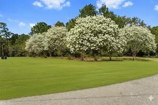 102 Forest Wind Ct, Montgomery, TX 77316 - Photo 4