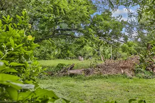 1514 Cheston Dr, Houston, TX 77029 - Photo 6