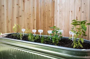 8016 Willow St, Houston, TX 77088 - Photo 22