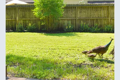14119 Kellywood Lane, Houston, TX 77079 - Photo 30