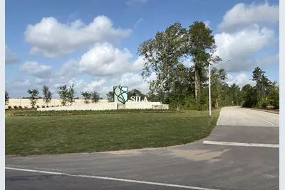 31418 Pratola Serra Circle, Huffman, TX 77336 - Photo 22