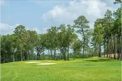 22719 Sheep Creek Court, Porter, TX 77365 - Photo 10
