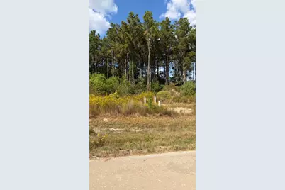 1365 Road 5890, Cleveland, TX 77327 - Photo 2