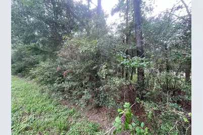 3440 Corolla Road, Magnolia, TX 77354 - Photo 8