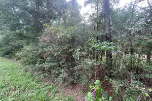 3440 Corolla Rd, Magnolia, TX 77354 - Photo 8