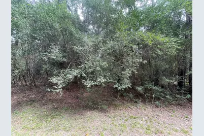 3440 Corolla Road, Magnolia, TX 77354 - Photo 6