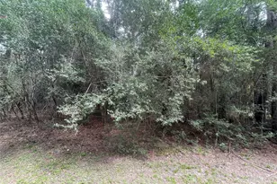 3440 Corolla Rd, Magnolia, TX 77354 - Photo 6