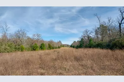 0 Fm 1511, Buffalo, TX 75831 - Photo 2
