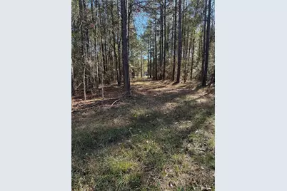 511 Queen Anne, Huntsville, TX 77340 - Photo 8