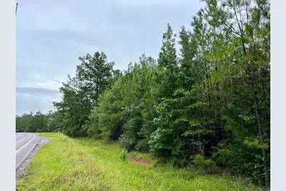 5 Sunflower Road, Livingston, TX 77351 - Photo 8