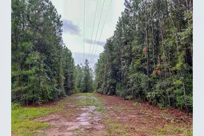 5 Sunflower Road, Livingston, TX 77351 - Photo 2