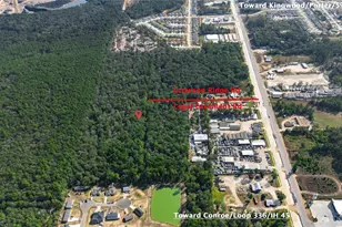 Hwy 105 E/ Crowson Ridge Rd, Conroe, TX 77306 - Photo 6