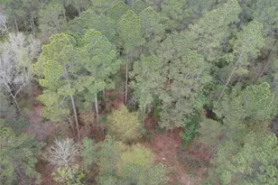 Lot 281 Lakeland Ranch Dr, Hillister, TX 77624 - Photo 1