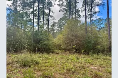 Lot 281 Lakeland Ranch Drive, Hillister, TX 77624 - Photo 4