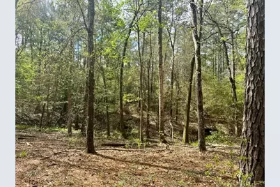 Lot 281 Lakeland Ranch Drive, Hillister, TX 77624 - Photo 2