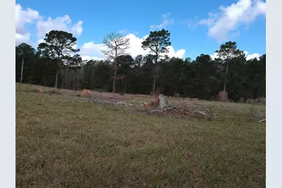 Lot 281 Lakeland Ranch Drive, Hillister, TX 77624 - Photo 34