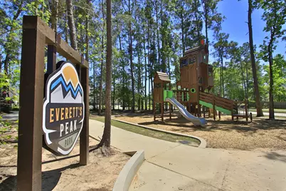 320 Rise Lane, Montgomery, TX 77316 - Photo 42