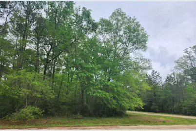 Tbd Cloverdale, Livingston, TX 77351 - Photo 1