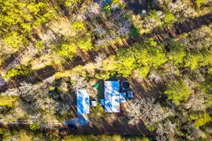 113 Preston Ave, Livingston, TX 77351 - Photo 24