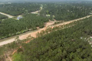 15807 Vine Vw Ct, Willis, TX 77378 - Photo 12