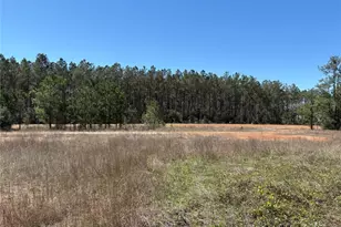 15807 Vine Veiw Ct, Willis, TX 77378 - Photo 1