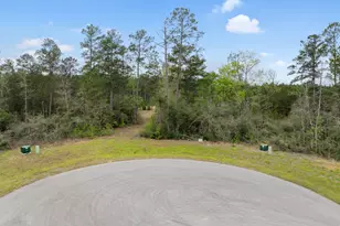 15807 Vine Vw Ct, Willis, TX 77378 - Photo 2