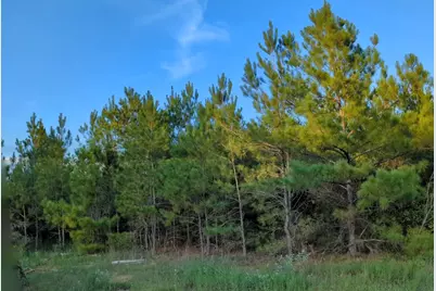 15807 Vine View Court, Willis, TX 77378 - Photo 20