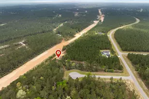 15807 Vine Vw Ct, Willis, TX 77378 - Photo 18