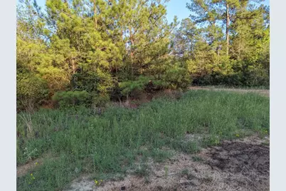 15807 Vine Veiw Court, Willis, TX 77378 - Photo 4