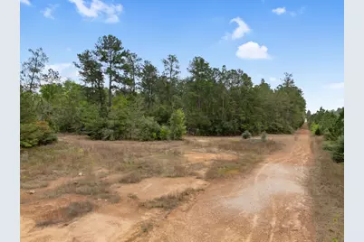 15807 Vine View Court, Willis, TX 77378 - Photo 6