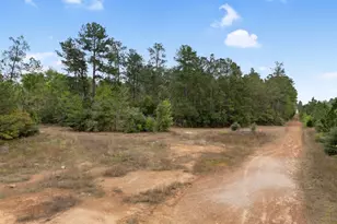 15807 Vine Vw Ct, Willis, TX 77378 - Photo 6