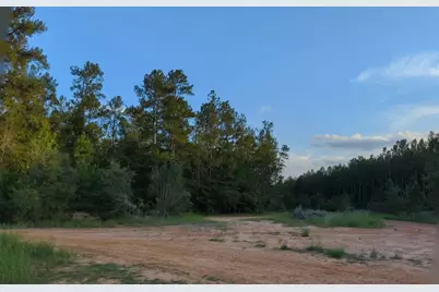 15807 Vine Veiw Court, Willis, TX 77378 - Photo 6