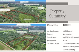 10 548 Acres Womack Cemetery Rd, Montgomery, TX 77316 - Photo 14