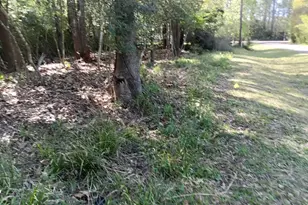 1008 White River Rd, Conroe, TX 77316 - Photo 2