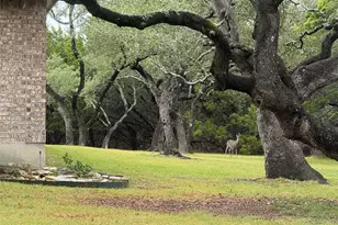 529 Cactus Flower St, San Antonio, TX 78260 - Photo 30