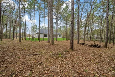 8513 Monarch Ridge Trail, Montgomery, TX 77316 - Photo 40