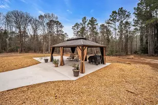 3535 Felix Currie Rd, Point Blank, TX 77364 - Photo 4