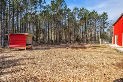 3535 Felix Currie Road, Pointblank, TX 77364 - Photo 28