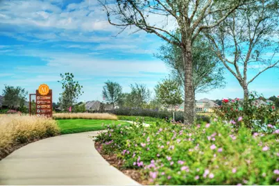 5319 Murillo Drive, Manvel, TX 77578 - Photo 16