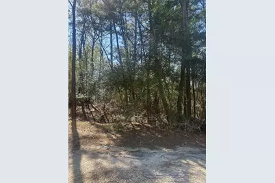 Lot 67/68 Wildwood Harbor, Onalaska, TX 77360 - Photo 6