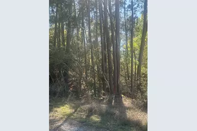 Lot 67/68 Wildwood Harbor, Onalaska, TX 77360 - Photo 2