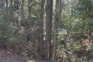 Lot 67 68 Wildwood Harbor, Onalaska, TX 77360 - Photo 1