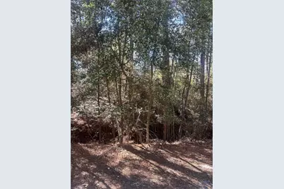 Lot 67/68 Wildwood Harbor, Onalaska, TX 77360 - Photo 10