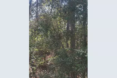 Lot 67/68 Wildwood Harbor, Onalaska, TX 77360 - Photo 8